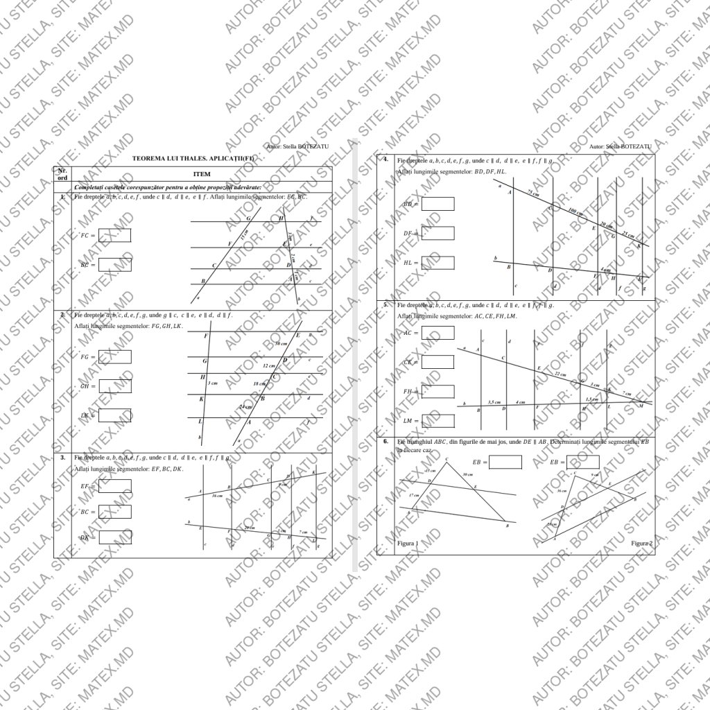 Teorema lui Thales(Clasa 8)